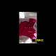 A plump, blonde, British girl with glasses, in a pink top, films her face in a bathroom across a long clip while she takes a shit. Presented in 720P HD. 430MB, MP4 file. Over 20 minutes.